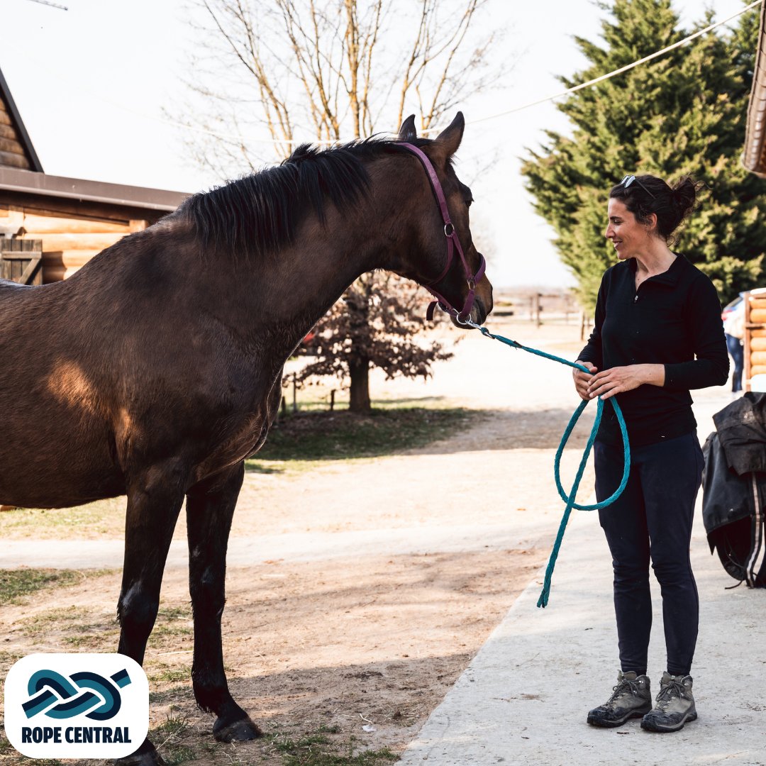 Horse Lead Ropes – Rope Central